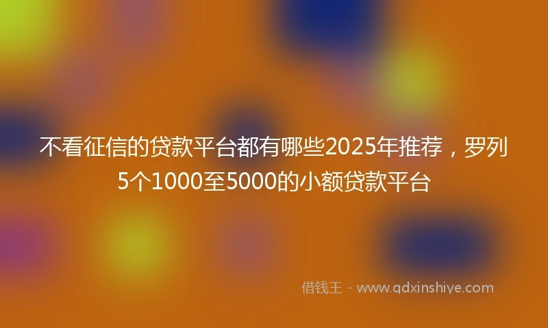 不看征信的贷款平台都有哪些2025年推荐，罗列5个1000至5000的小额贷款平台