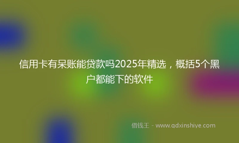 信用卡有呆账能贷款吗2025年精选，概括5个黑户都能下的软件