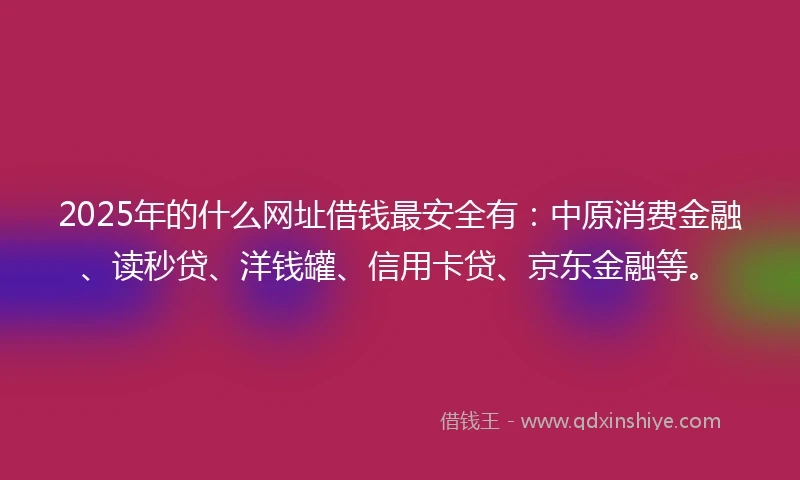 2025年的什么网址借钱最安全有：中原消费金融、读秒贷、洋钱罐、信用卡贷、京东金融等。