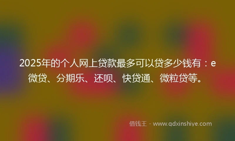 2025年的个人网上贷款最多可以贷多少钱有：e微贷、分期乐、还呗、快贷通、微粒贷等。