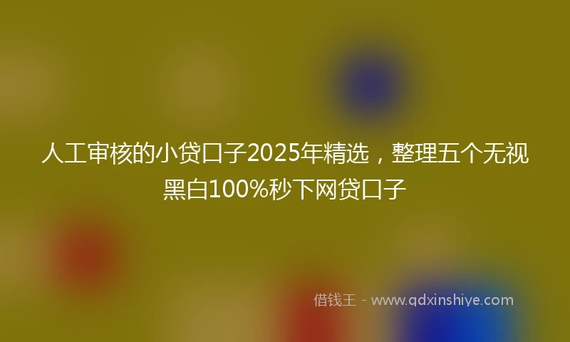 人工审核的小贷口子2025年精选，整理五个无视黑白100%秒下网贷口子