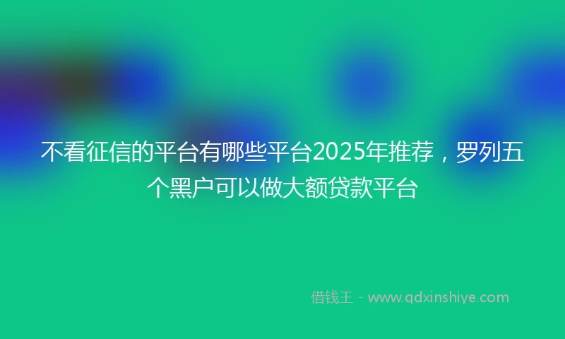不看征信的平台有哪些平台2025年推荐，罗列五个黑户可以做大额贷款平台