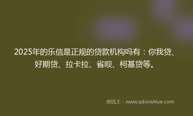 2025年的乐信是正规的贷款机构吗有：你我贷、好期贷、拉卡拉、省呗、柯基贷等。