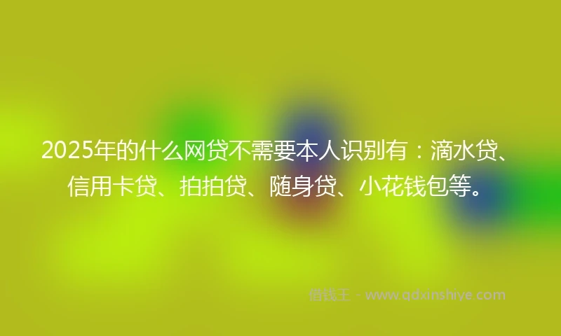 2025年的什么网贷不需要本人识别有：滴水贷、信用卡贷、拍拍贷、随身贷、小花钱包等。