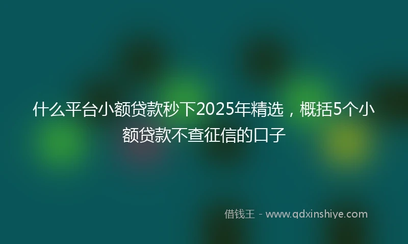 什么平台小额贷款秒下2025年精选，概括5个小额贷款不查征信的口子