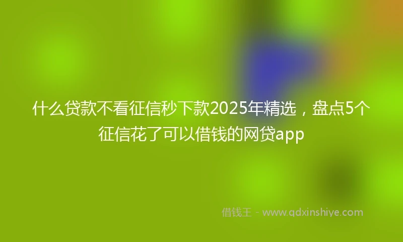 什么贷款不看征信秒下款2025年精选，盘点5个征信花了可以借钱的网贷app