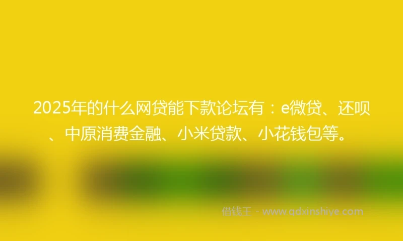 2025年的什么网贷能下款论坛有：e微贷、还呗、中原消费金融、小米贷款、小花钱包等。