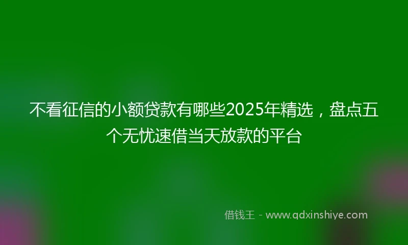 不看征信的小额贷款有哪些2025年精选，盘点五个无忧速借当天放款的平台