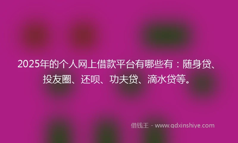 2025年的个人网上借款平台有哪些有：随身贷、投友圈、还呗、功夫贷、滴水贷等。