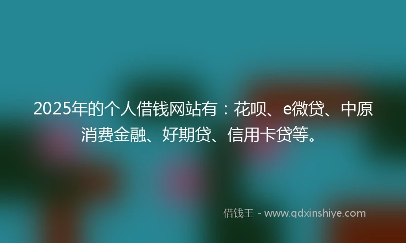 2025年的个人借钱网站有：花呗、e微贷、中原消费金融、好期贷、信用卡贷等。