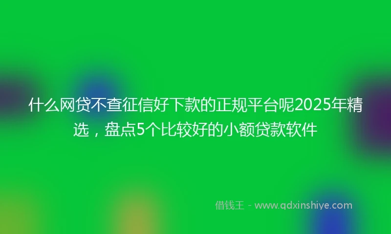 什么网贷不查征信好下款的正规平台呢2025年精选，盘点5个比较好的小额贷款软件