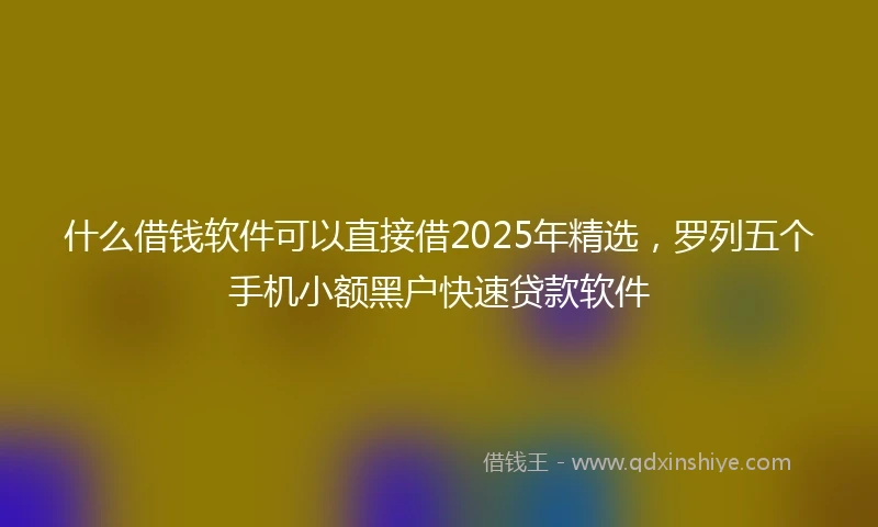 什么借钱软件可以直接借2025年精选，罗列五个手机小额黑户快速贷款软件