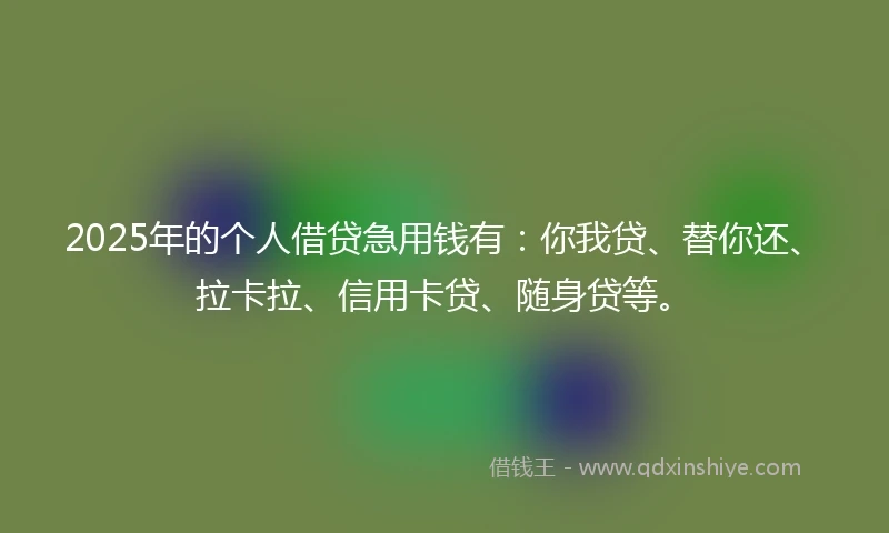 2025年的个人借贷急用钱有：你我贷、替你还、拉卡拉、信用卡贷、随身贷等。