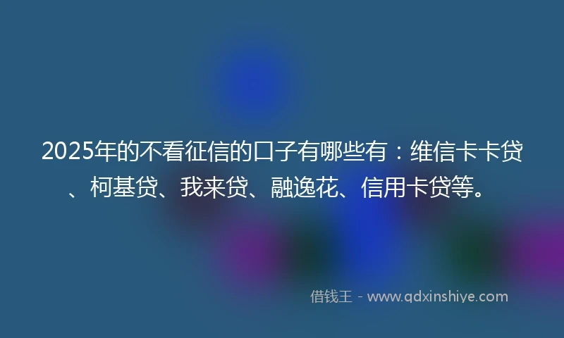 2025年的不看征信的口子有哪些有：维信卡卡贷、柯基贷、我来贷、融逸花、信用卡贷等。