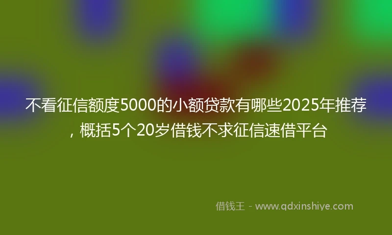 不看征信额度5000的小额贷款有哪些2025年推荐，概括5个20岁借钱不求征信速借平台