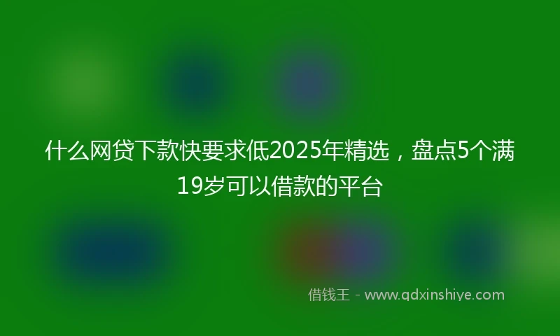 什么网贷下款快要求低2025年精选，盘点5个满19岁可以借款的平台