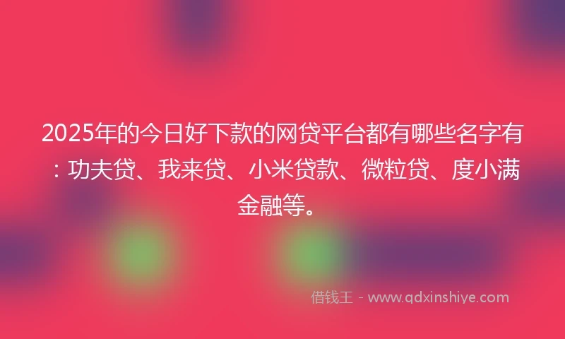 2025年的今日好下款的网贷平台都有哪些名字有：功夫贷、我来贷、小米贷款、微粒贷、度小满金融等。
