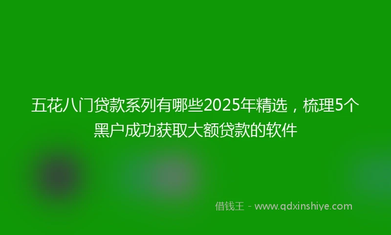 五花八门贷款系列有哪些2025年精选，梳理5个黑户成功获取大额贷款的软件