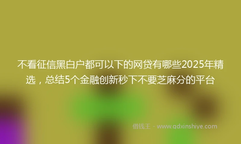 不看征信黑白户都可以下的网贷有哪些2025年精选，总结5个金融创新秒下不要芝麻分的平台