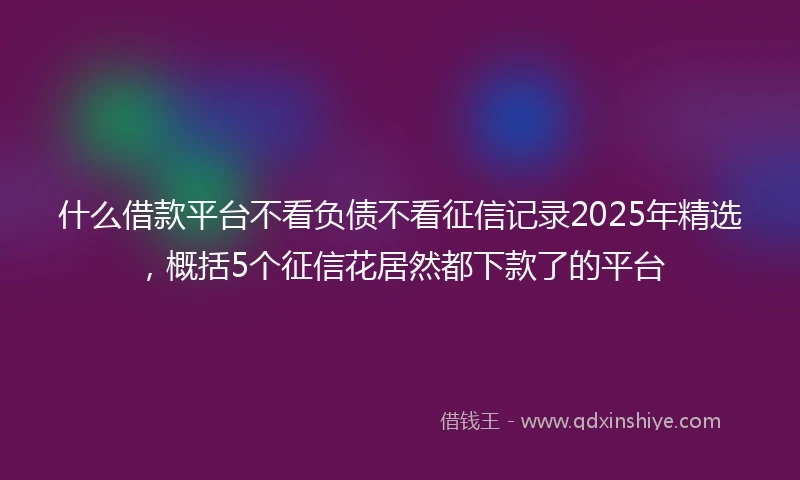 什么借款平台不看负债不看征信记录2025年精选，概括5个征信花居然都下款了的平台