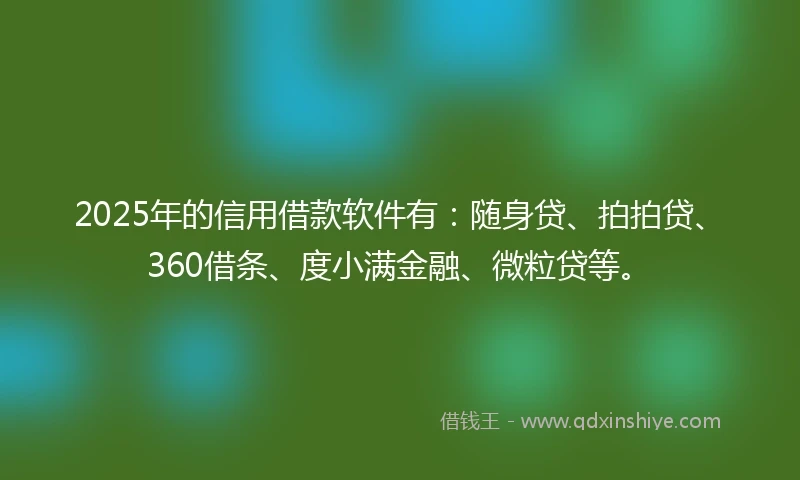 2025年的信用借款软件有：随身贷、拍拍贷、360借条、度小满金融、微粒贷等。