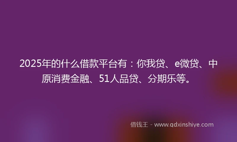 2025年的什么借款平台有：你我贷、e微贷、中原消费金融、51人品贷、分期乐等。