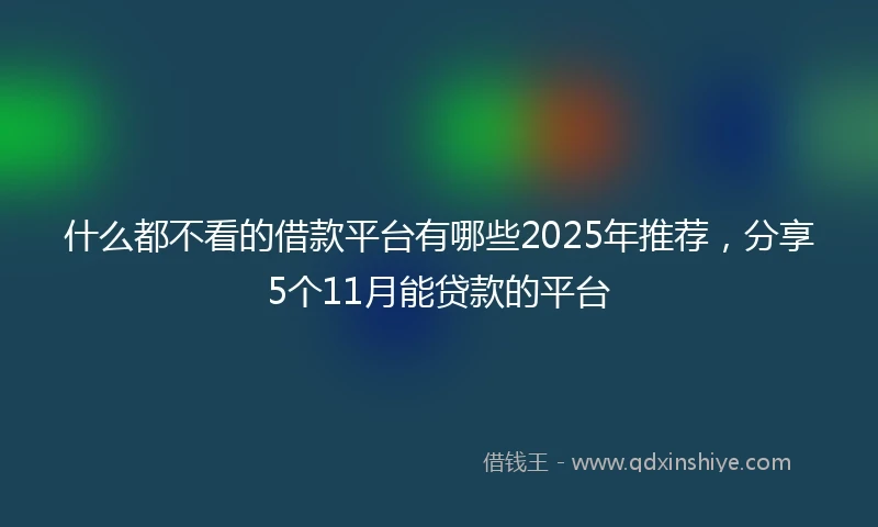 什么都不看的借款平台有哪些2025年推荐，分享5个11月能贷款的平台
