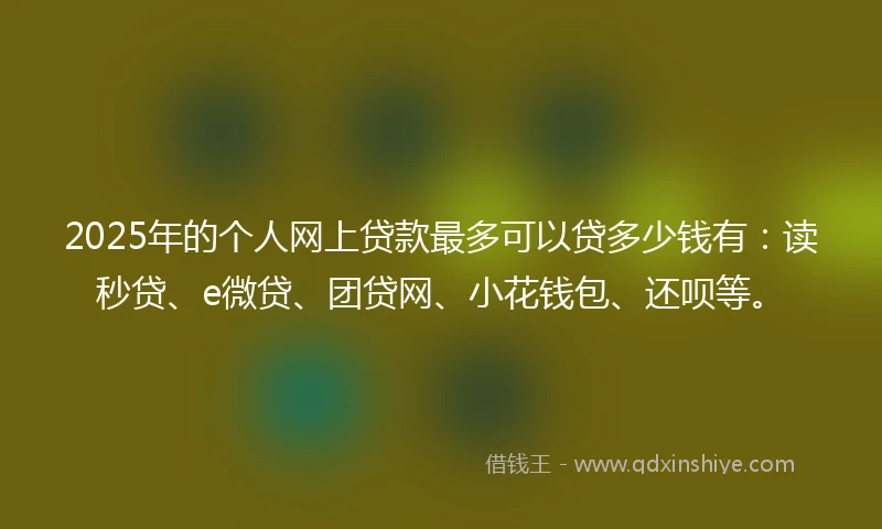 2025年的个人网上贷款最多可以贷多少钱有：读秒贷、e微贷、团贷网、小花钱包、还呗等。