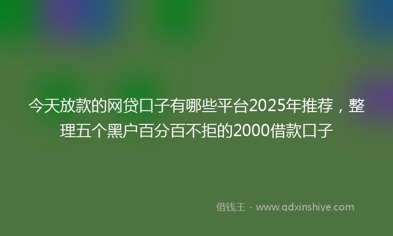今天放款的网贷口子有哪些平台2025年推荐，整理五个黑户百分百不拒的2000借款口子