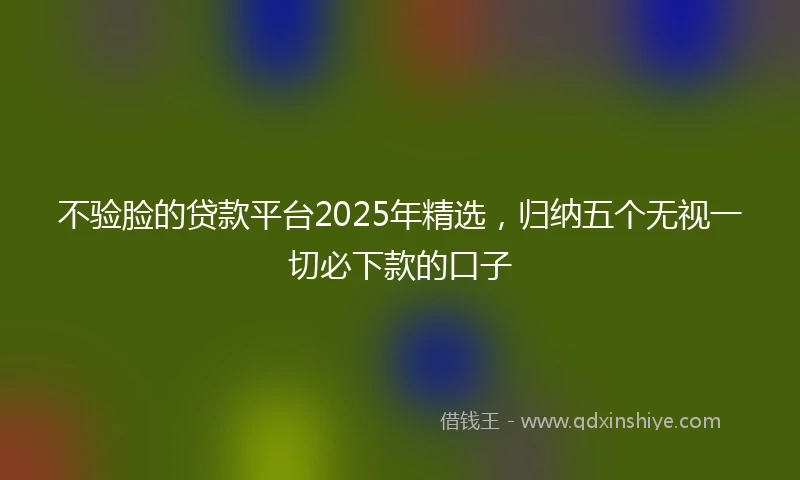 不验脸的贷款平台2025年精选，归纳五个无视一切必下款的口子
