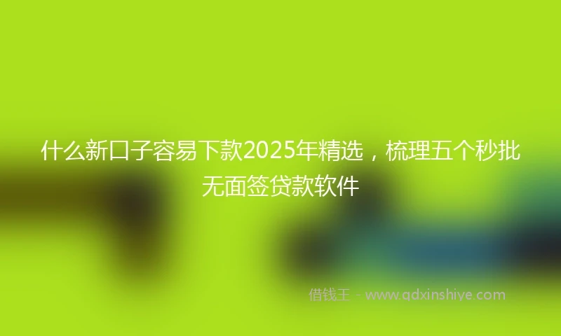 什么新口子容易下款2025年精选，梳理五个秒批无面签贷款软件