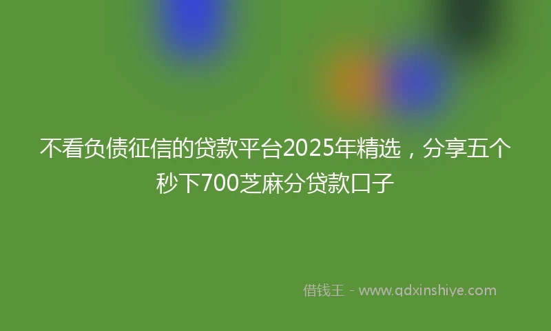 不看负债征信的贷款平台2025年精选，分享五个秒下700芝麻分贷款口子