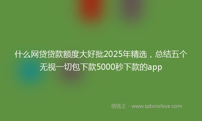 什么网贷贷款额度大好批2025年精选，总结五个无视一切包下款5000秒下款的app