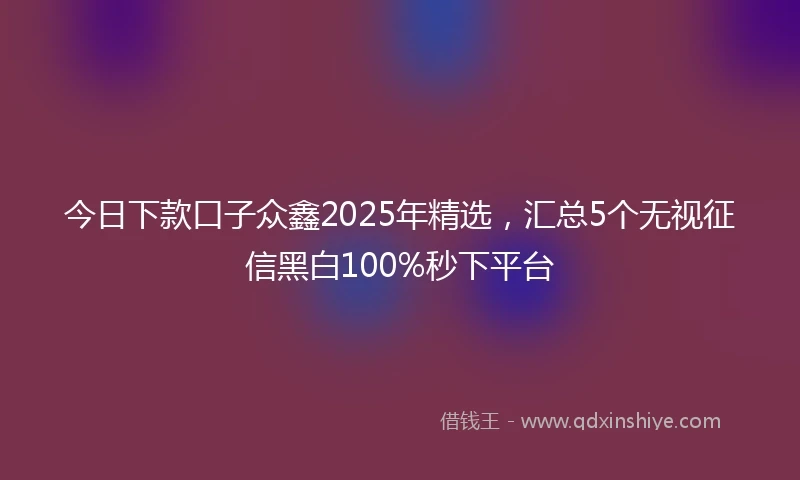 今日下款口子众鑫2025年精选，汇总5个无视征信黑白100%秒下平台