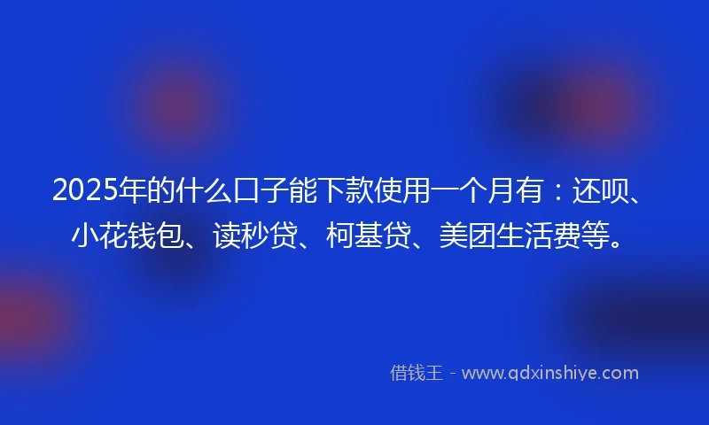 2025年的什么口子能下款使用一个月有：还呗、小花钱包、读秒贷、柯基贷、美团生活费等。