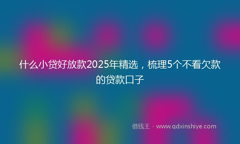 什么小贷好放款2025年精选，梳理5个不看欠款的贷款口子