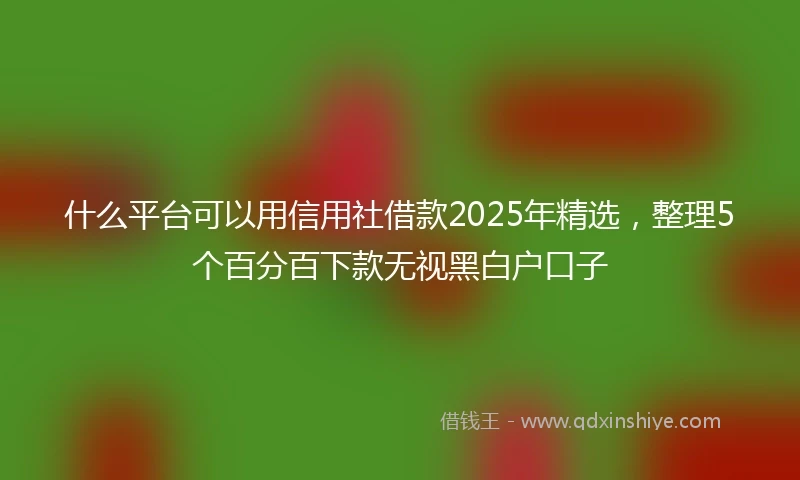 什么平台可以用信用社借款2025年精选，整理5个百分百下款无视黑白户口子