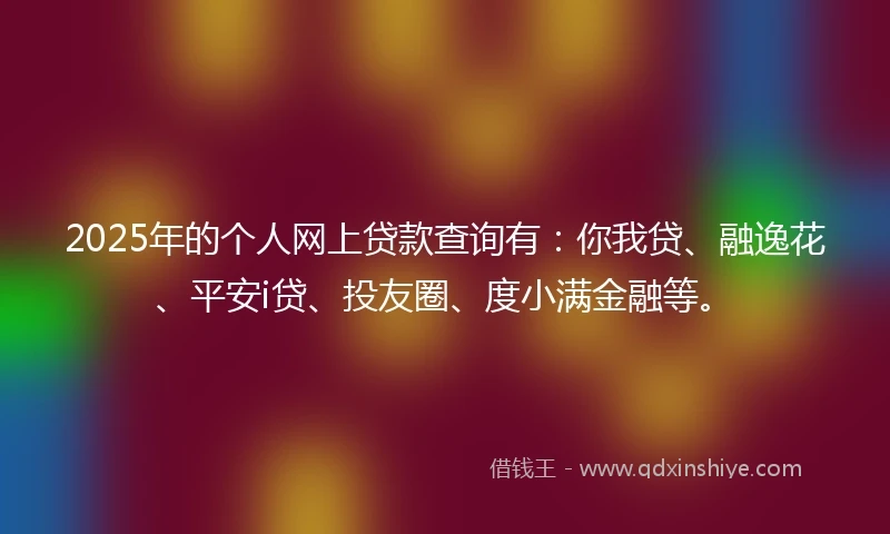 2025年的个人网上贷款查询有：你我贷、融逸花、平安i贷、投友圈、度小满金融等。