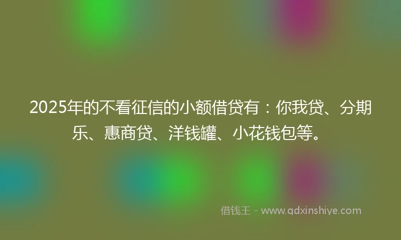 2025年的不看征信的小额借贷有：你我贷、分期乐、惠商贷、洋钱罐、小花钱包等。
