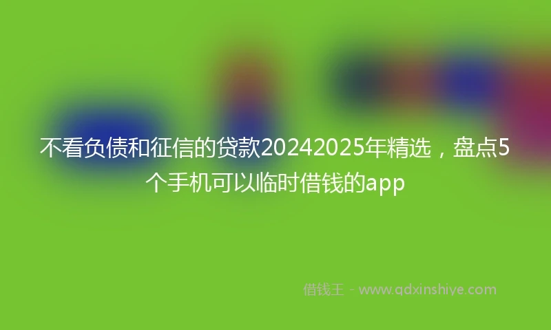 不看负债和征信的贷款20242025年精选，盘点5个手机可以临时借钱的app