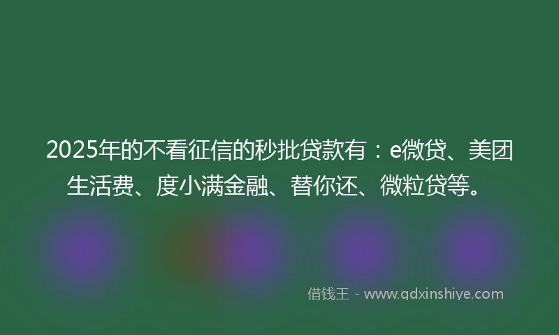 2025年的不看征信的秒批贷款有：e微贷、美团生活费、度小满金融、替你还、微粒贷等。