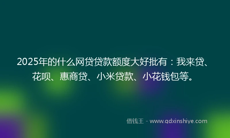 2025年的什么网贷贷款额度大好批有：我来贷、花呗、惠商贷、小米贷款、小花钱包等。