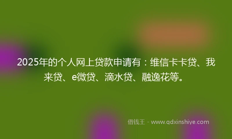 2025年的个人网上贷款申请有：维信卡卡贷、我来贷、e微贷、滴水贷、融逸花等。