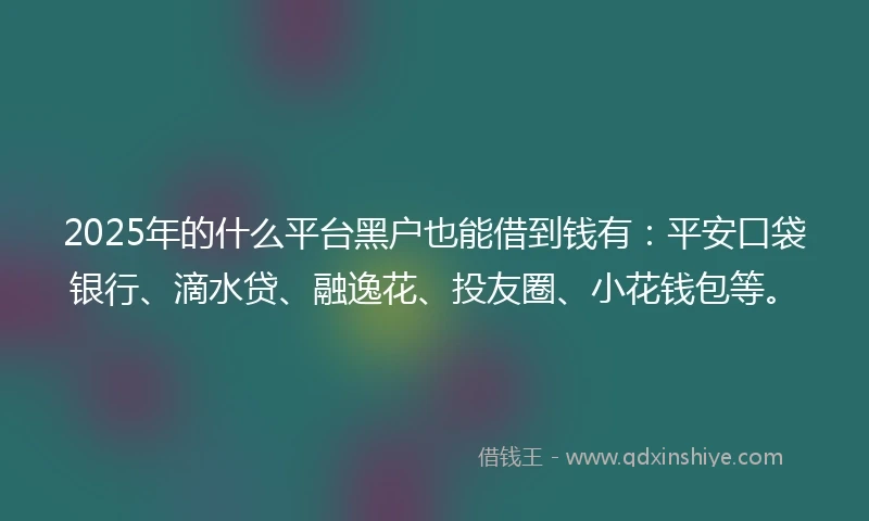 2025年的什么平台黑户也能借到钱有：平安口袋银行、滴水贷、融逸花、投友圈、小花钱包等。