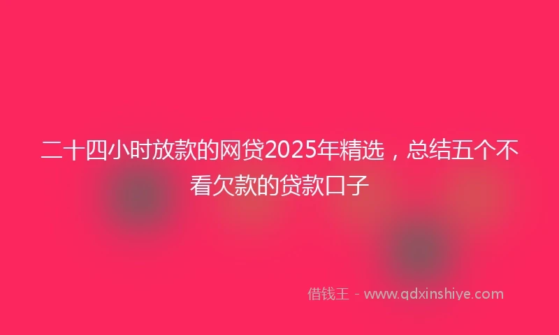 二十四小时放款的网贷2025年精选，总结五个不看欠款的贷款口子