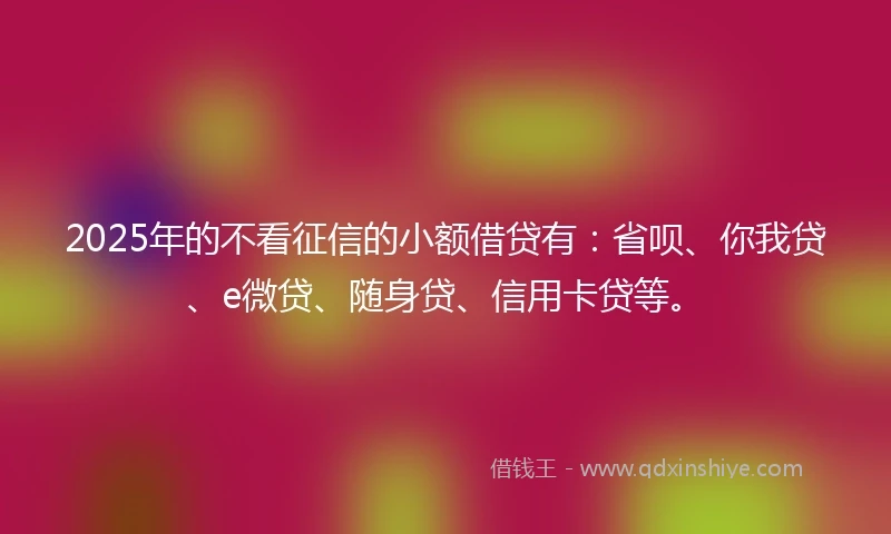 2025年的不看征信的小额借贷有：省呗、你我贷、e微贷、随身贷、信用卡贷等。
