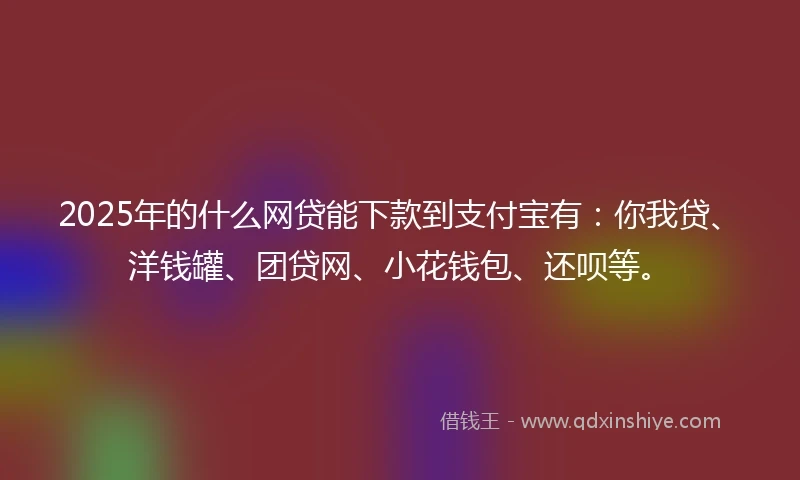 2025年的什么网贷能下款到支付宝有：你我贷、洋钱罐、团贷网、小花钱包、还呗等。