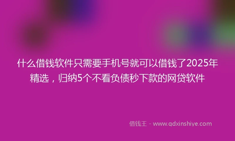 什么借钱软件只需要手机号就可以借钱了2025年精选，归纳5个不看负债秒下款的网贷软件