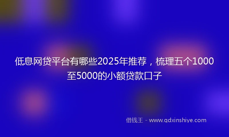 低息网贷平台有哪些2025年推荐，梳理五个1000至5000的小额贷款口子