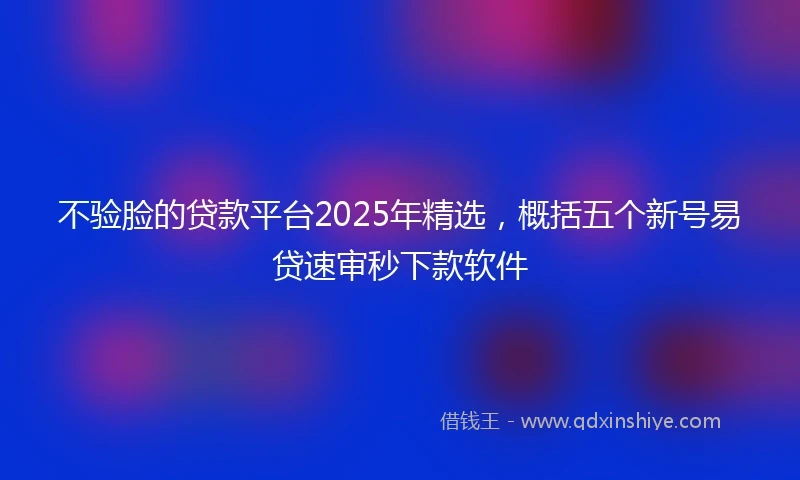 不验脸的贷款平台2025年精选，概括五个新号易贷速审秒下款软件